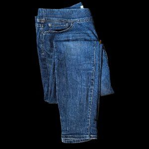 Levi Straus Signature Gold Jeans, Totally Shaping, Pull-On Skinny, Size 18L